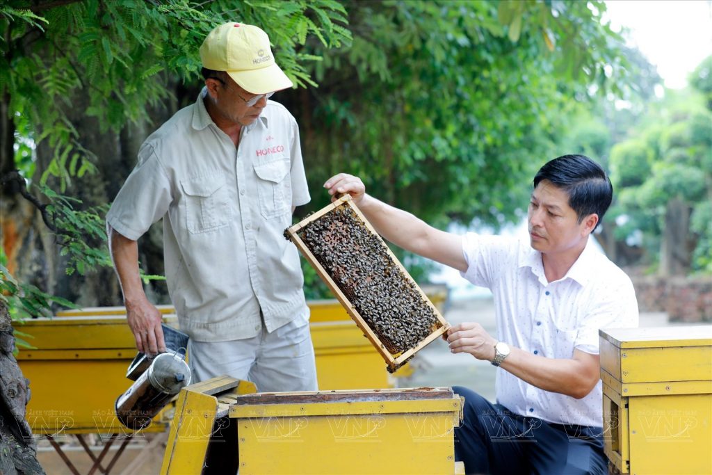 HONECO và hành trình viết tên mật ong Việt Nam ra thế giới