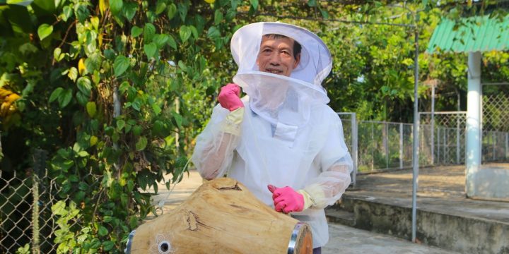 Nghề đưa ong rừng về nuôi lấy mật, mỗi mùa thu hàng chục triệu đồng